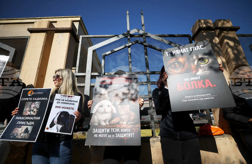 �������� ����������� � ������ �� ��������� ������� �� ������� ��� �������