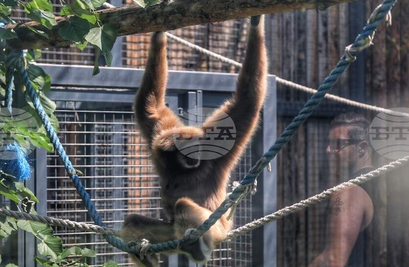 ���������� ������� �� ���� � ������� ����� ������� ����� �� ������������� ��������