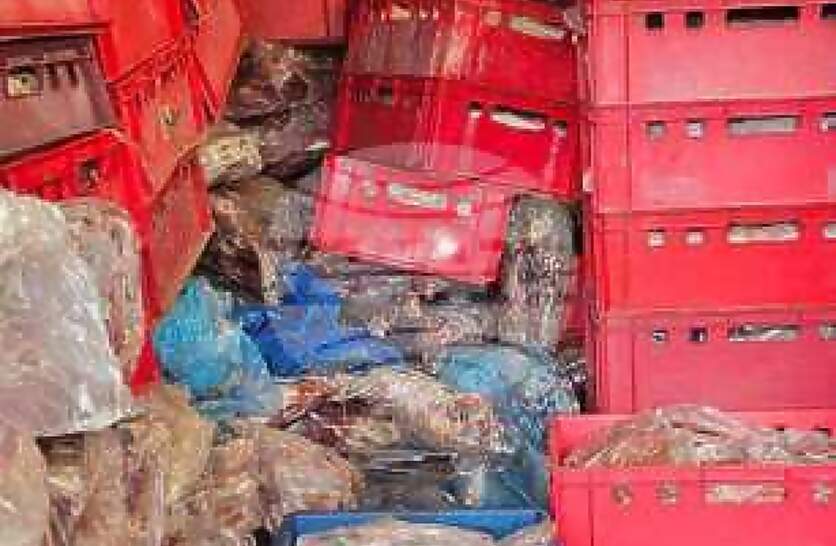 ���� � ���������� ����� ��������� ������� ��� ���������������