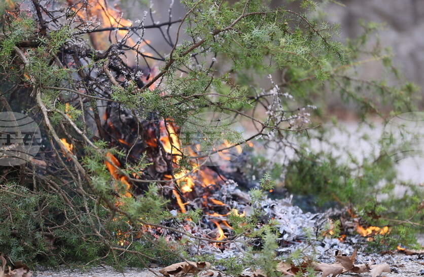 ���� 33 ������ �� ����������� � �������� ���� ���������� ���������