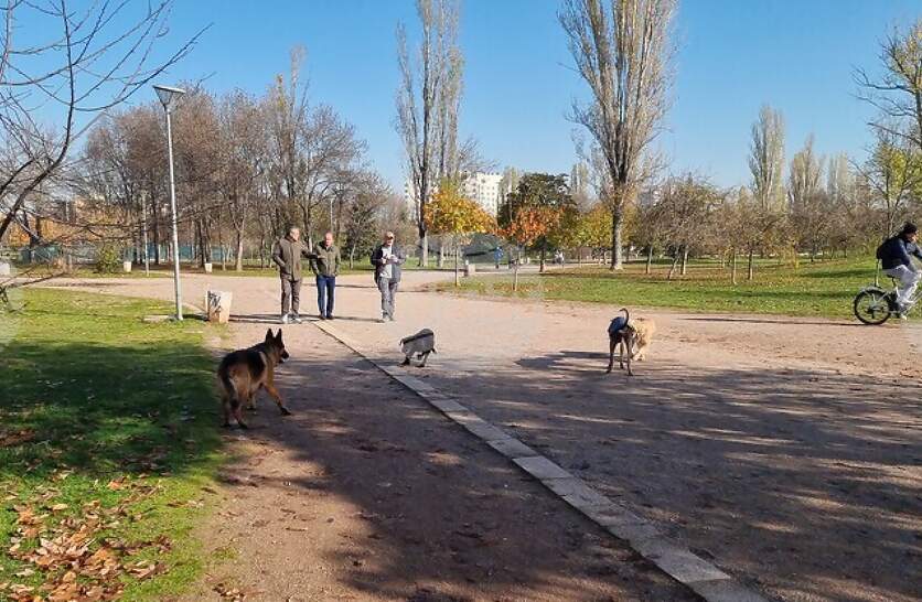 � �������, �������� � ������������ ������������ �������� ������ �� ����� ������ �� �����, �������� �� ��������� �����������