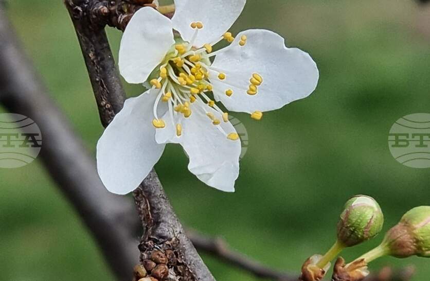 �������� �� ������� �� 10 ����� (�����) � ���������� ���