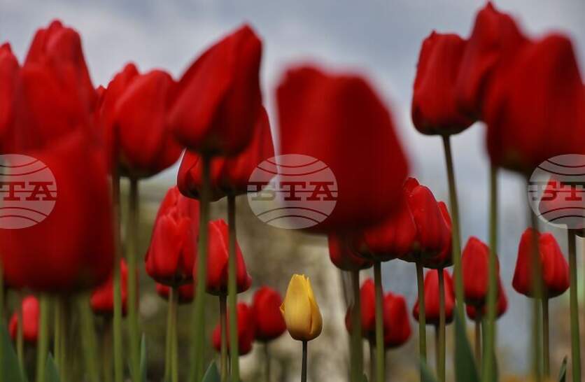 �������� �� ������� �� 28 ����� (�������) � ���������� ���