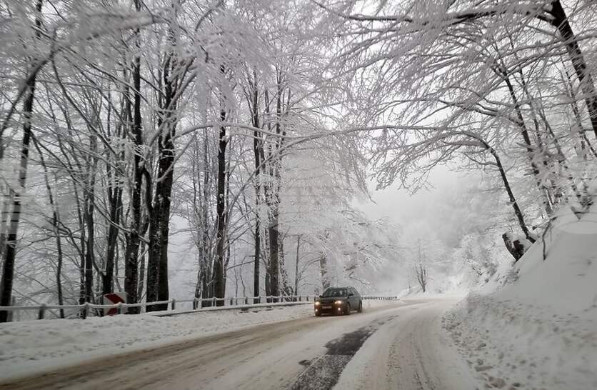 �� ������� �������� ���� ����, ����� � �������� ��� ����� �������