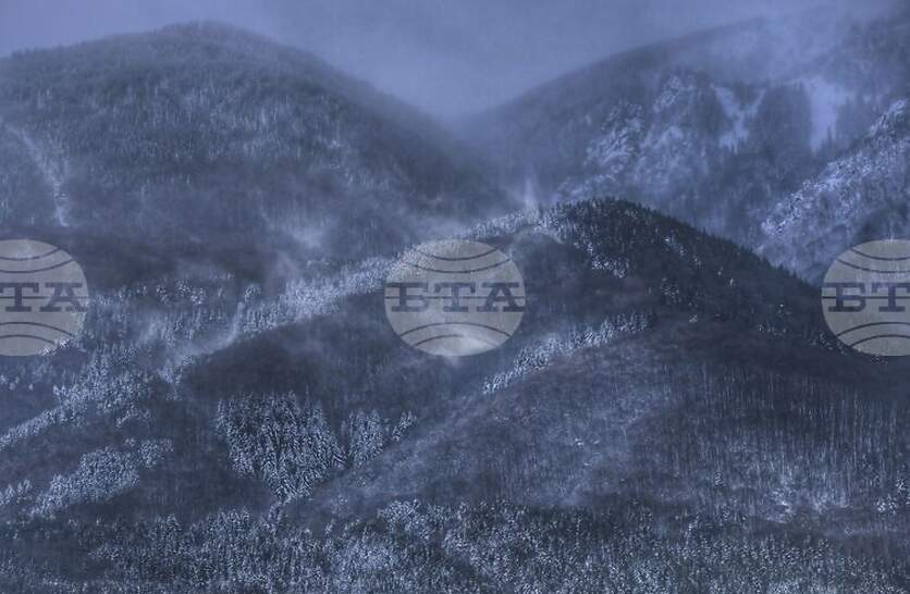 ���������� ����������� �� ����������� ���� � ������ �� ������ ����, �������� �� ����������� ���������� ������ �� ���