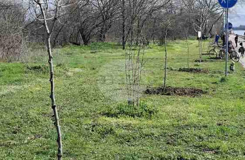 ����� 200 ������ �� ����� �������� � ������ �� �������� ���� � �������