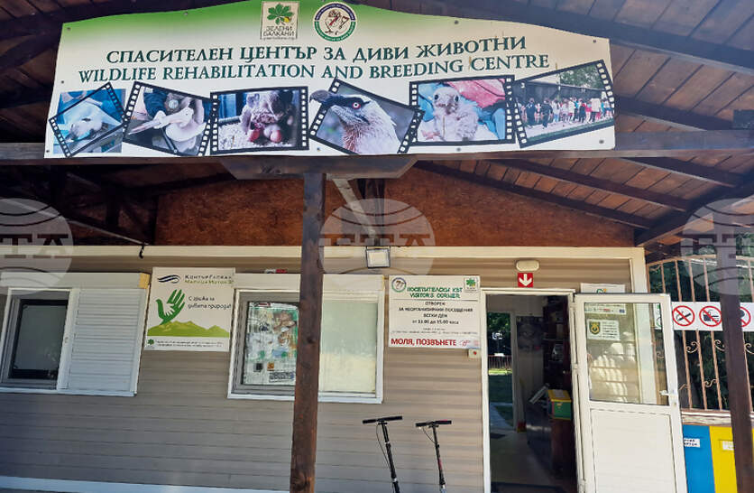 ��� ����� ��������� �� �������� � ����������� ������ �� 