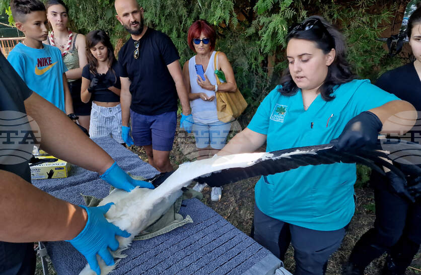 ����� 10 ���� ������� �� ����� ���������� � ��������� �� ����� �� ����������� ������ ��� ������� �������