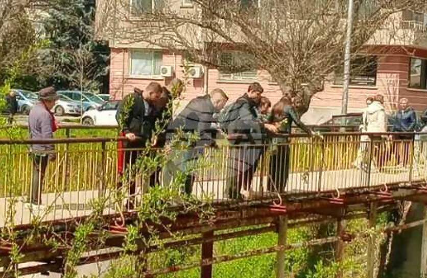 ������� � ������� ��������� �������� �� ������������, �������� � ��������� �� ������ ������������� ��� �� ������