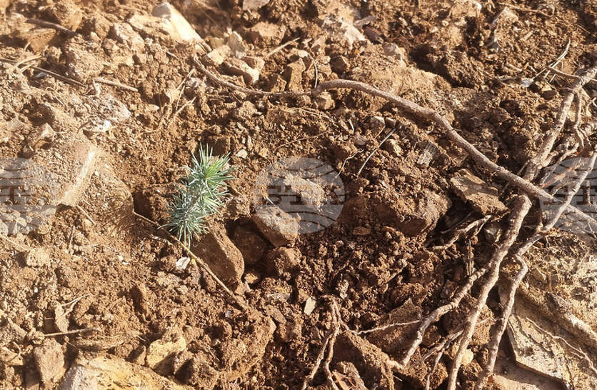 ����� �� ���������� �� ������� � ��� 1000 ������� ����� ���� ����� ������