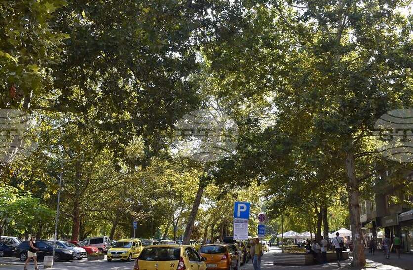 ������ ������� ������� ��������� ������� �� ���� ���� �� 6 �����