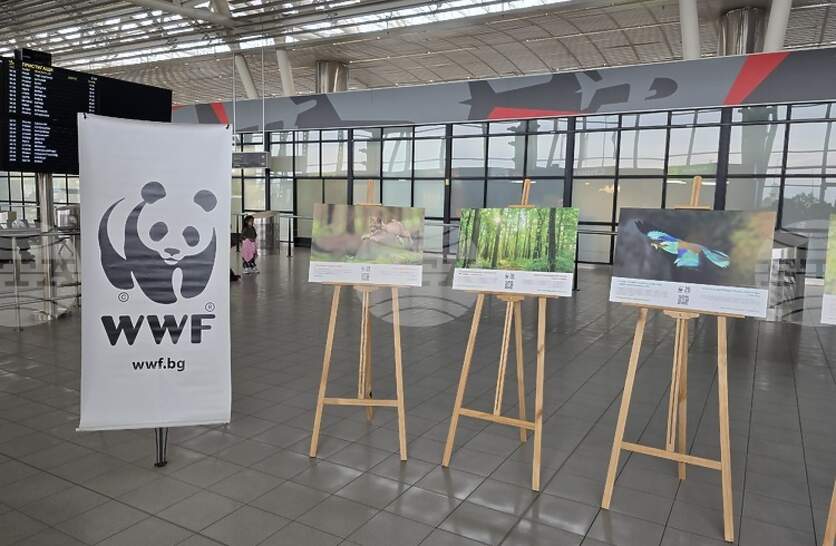 ����������� ������� ��������� ��������� �� WWF �� �������� �� ��������� � �������� ���� ���������� 20 ������