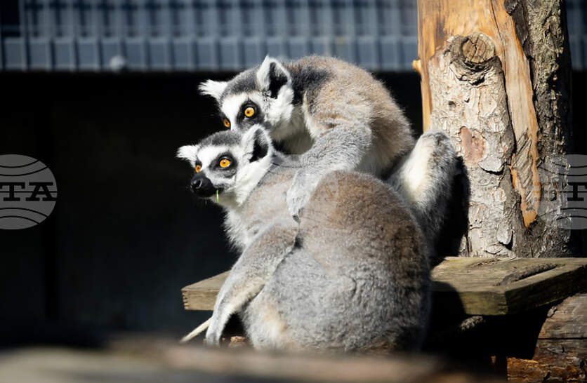 �������������� ������� � ����� �� ������ ��� ������� ���, ����������� � �� ������������� ��������, � ����� ������� �����