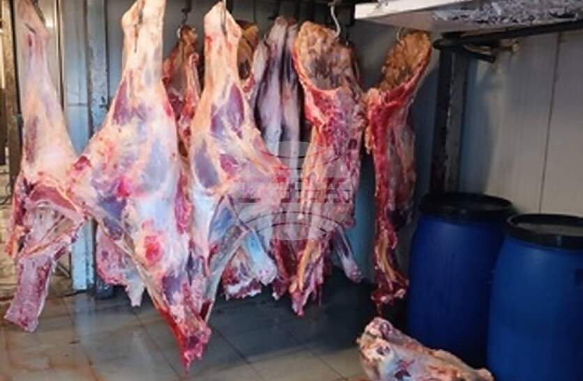 ��������� ��� ������ ������� ��������� ��������� ������� �� ���� ������� � �������