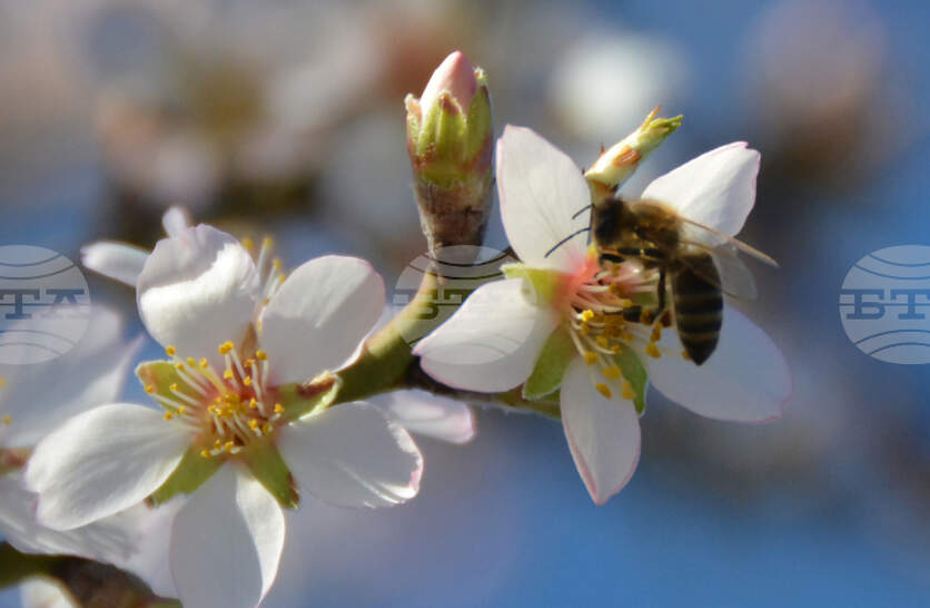 �������� �� ������� �� 29 ����� (�����) � ���������� ���