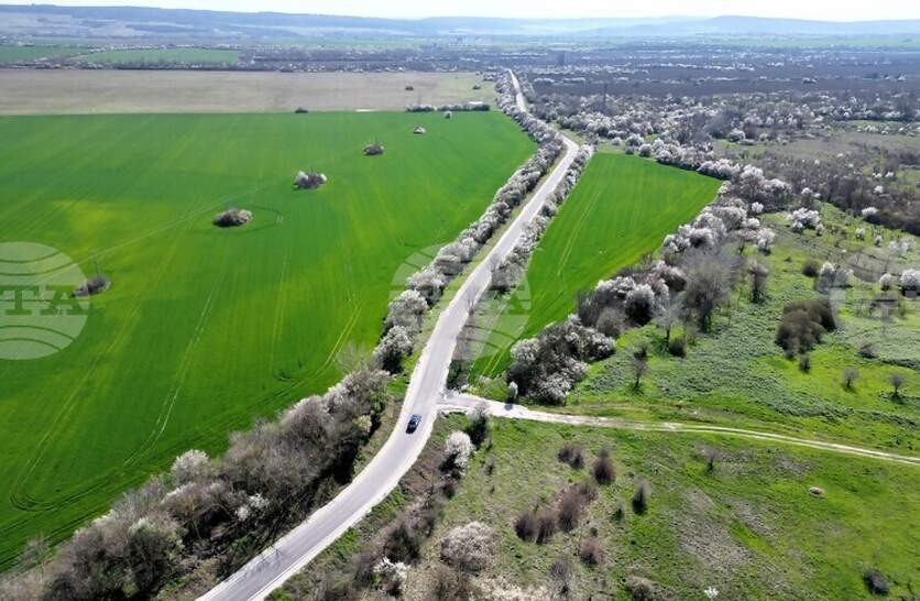 ����� ����� ������ ����� � ������ � ������� ����������, �������� �� ������ ������ �������