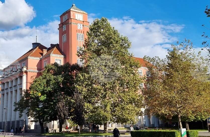 � ����������� ���� �� ������ ���� �� ���� �������� ���������� ���������� �� ����������, ��������� � �����������