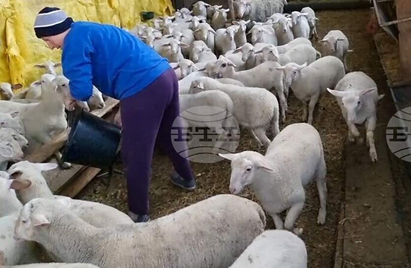 ���������� � ������������ �������� �������� � ������� ���������� �� ��������� ������ ������ �������