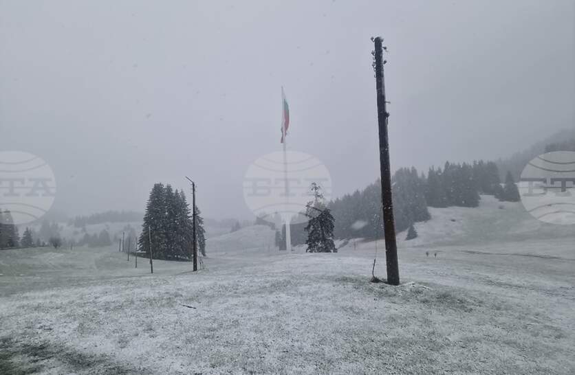 ���� ���� �� �������� ����� �� ��������, �������� �� ���������������