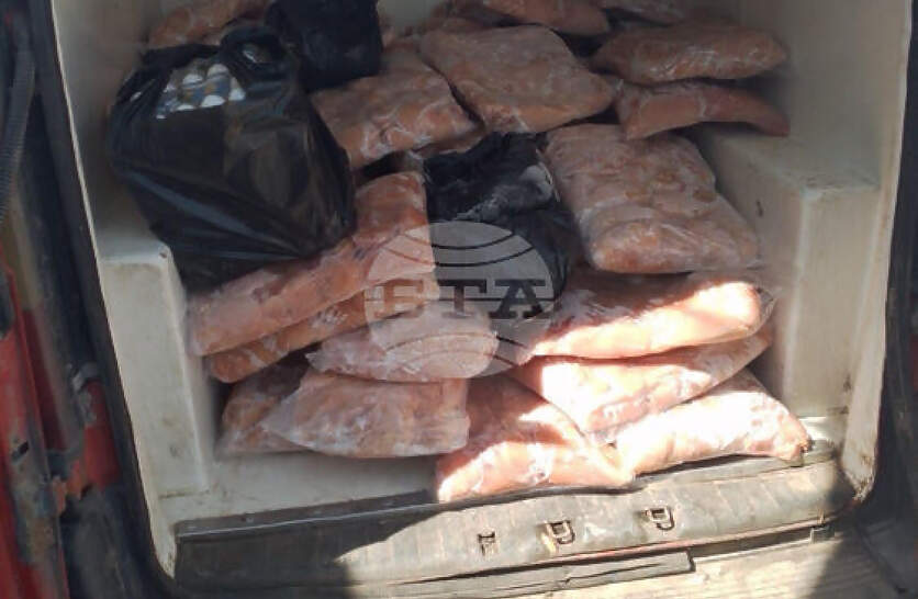 ��� 600 ���� ����� ��� ��������� �� ������ � ����������