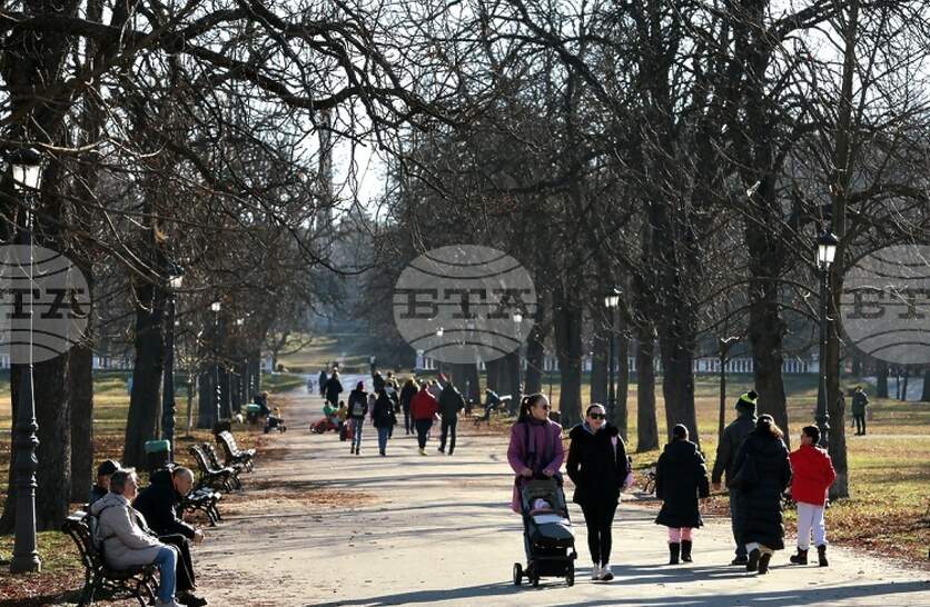 ����������� ���� �� ������ ������� ���������� ��������� � �������� �� �����������, ���������� ������� �� ������ � ������������