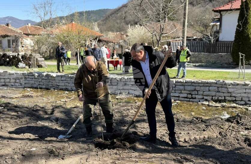 ������ ����������� �������� ��������� �� ������ � ���������� �� ���������� � ���� ��������