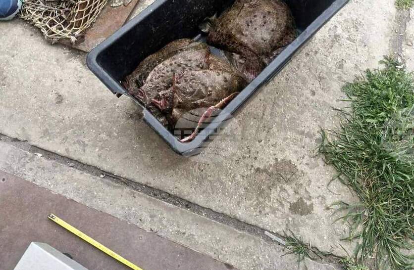 ��� 18 �� ������ �� ������ �� �������������� ������� �� ��������� � ����������� �� ��������� ���� ������, ��������� ������ ��� ����������