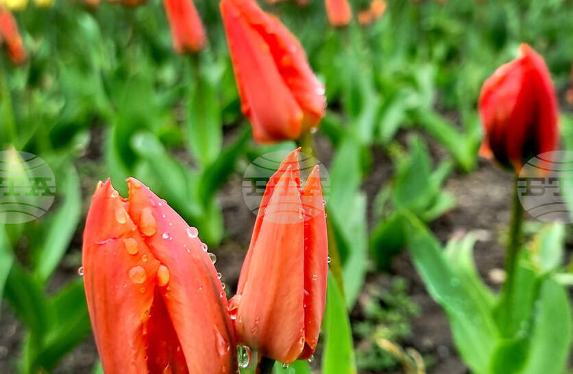 �������� �� ������� �� 5 ����� (������) � ���������� ���