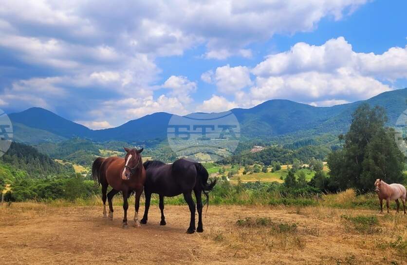 �������� �� ������� �� 14 ����� (�������) � ���������� ���