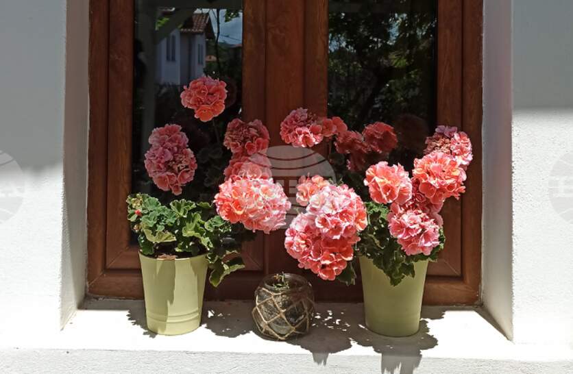 ������ ������ ��������� �������� � ������� �� ������� ����� � ������ �� ������ �� Giro d�Italia