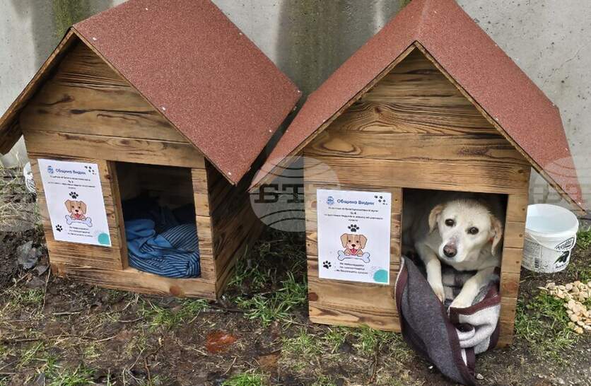 ������ ����� ������ ���������� �� ����������� �� ����������������� ������