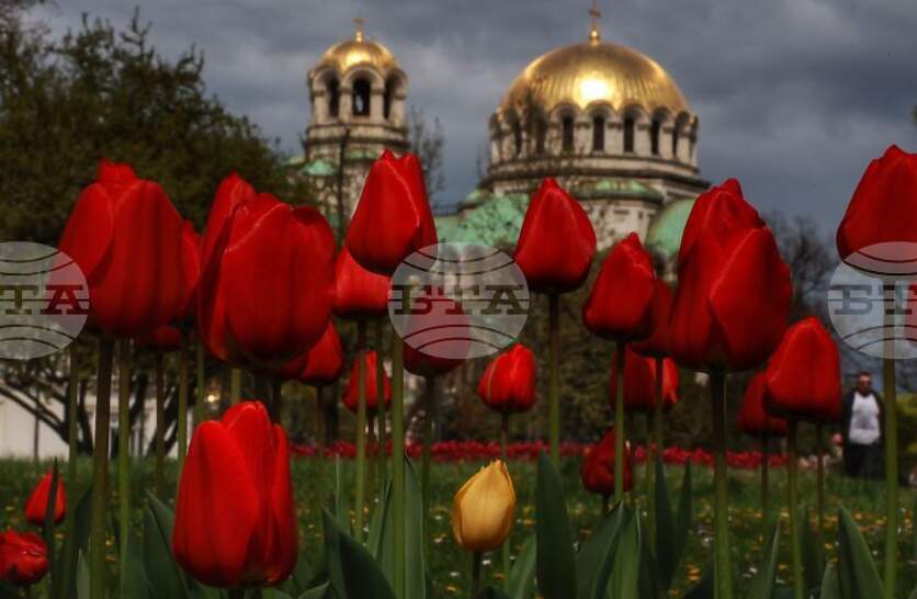 �������� �� ������� �� 30 ����� (���������) � ���������� ���