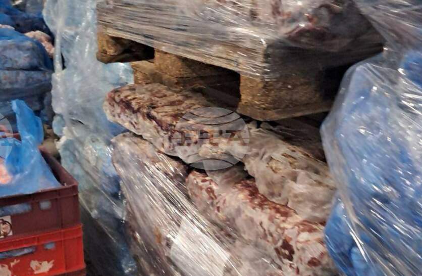 ��� 6,5 ���� ����� �� �������� �� �����������, � ���� �� ��������� �� ����������� �� ���� � ������ � ����������� ���� ��������