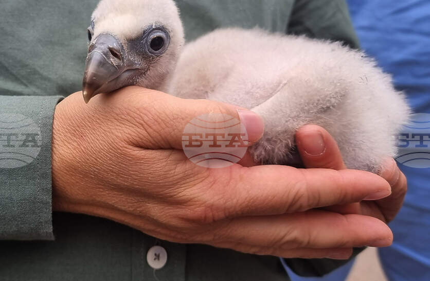 �� ����� ������� ������ � �������� � ����� ������ �� �������� ��������� �������