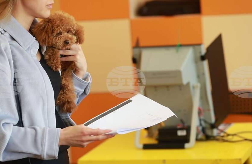 ������������� ��������� ��� 15:00 ���� � 31,8% �� ����� �� ����� ��� �� �������������� ������� ������