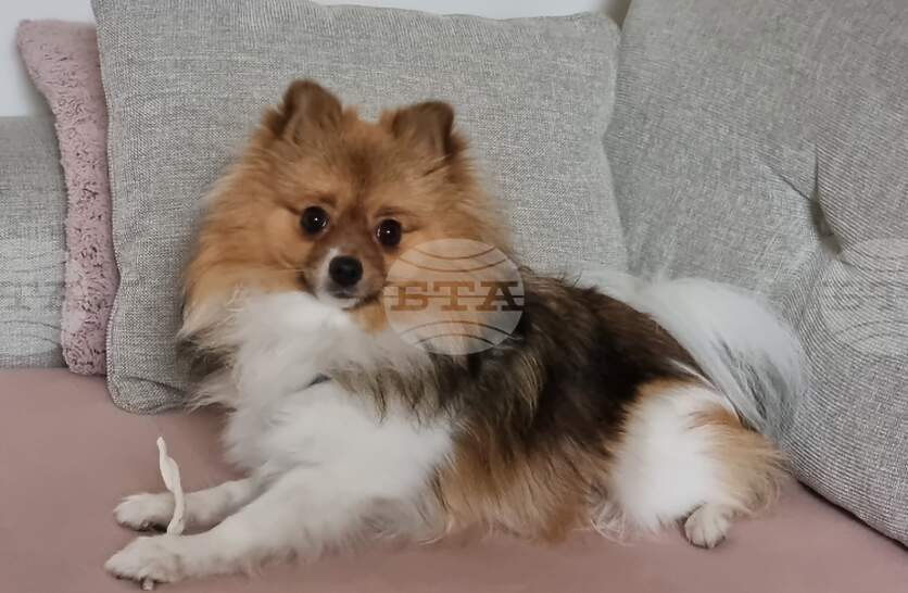 ���� 134 ������� ������� ���� ���������� � ������� �� ���������� �� ������ ���� ������