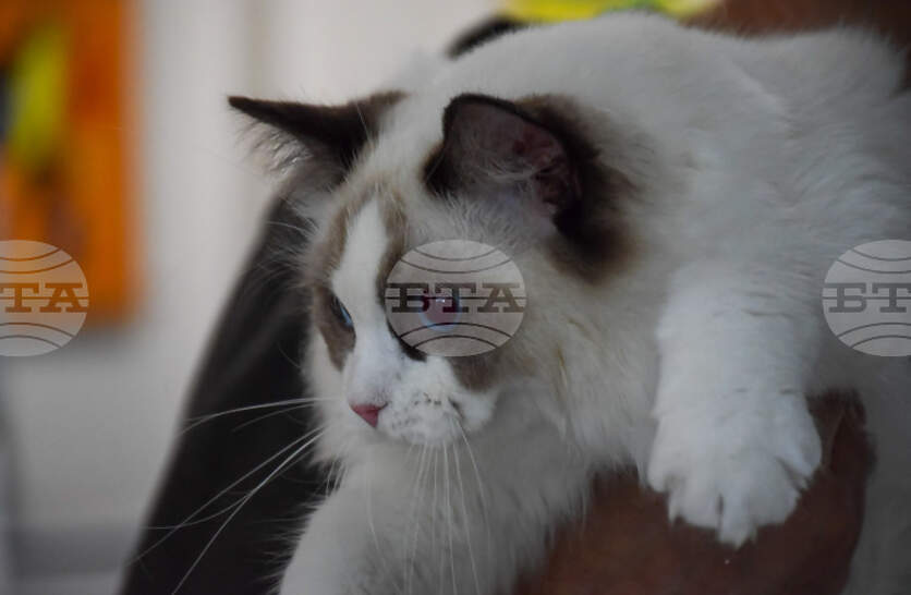 ������� � ��������� ������ ����� �� �������� � ������� � �������������� ������� � �����������