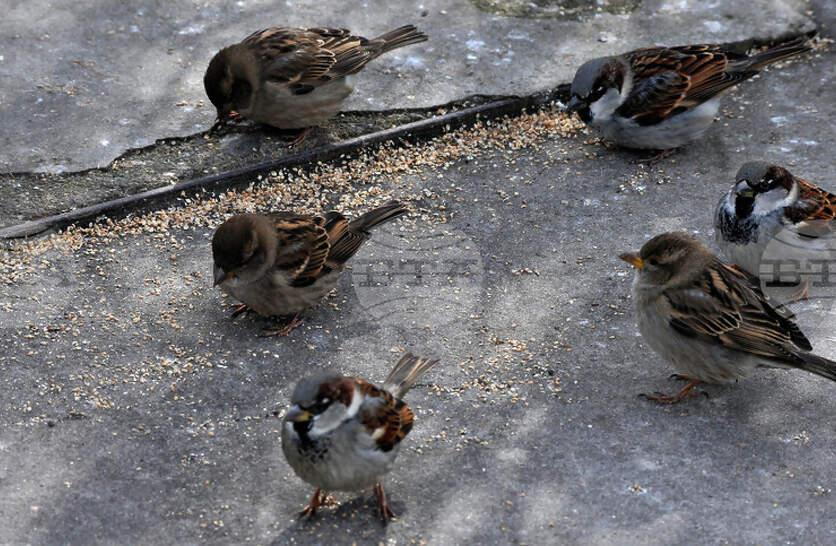 �� ������� 10 ������ �� �������� ���������� ����� ���, � ���������� �� ���������� ����������� �� ��������� �����