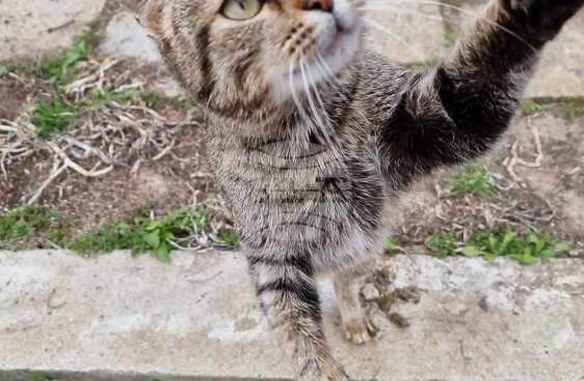 ��������� �������� �� ��������� ��������� �� ������� ������� �� �� ������ � ���� ������