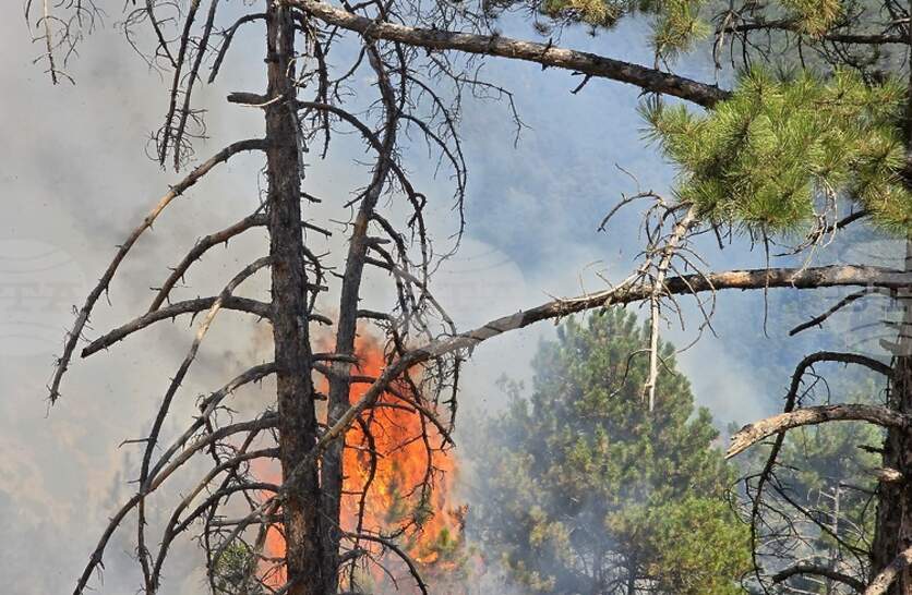 ����� 3000 ������� �� ����� �������� � ������ ��� ���� ��������� � ����� � ������� �� ���������� �� ���������� �������� �����������