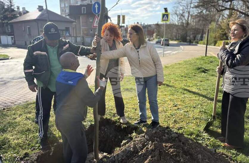 �������� �� ���������� �� ������ � �������� �� ����� ��������� �� ������