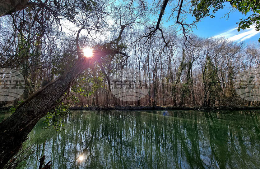 �� ������ �� ���� ������������ �������� �� ���� ������ � ������ ��������