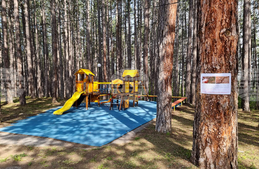 � ���������� ��������� �� ��������� �� ������ ���� ���������������