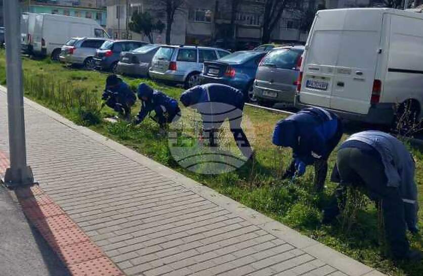 ���������� ����������� ���������������� � ��������� ���������� � ����� �������� ������ ������� � ���������� �� ������� �� ��������