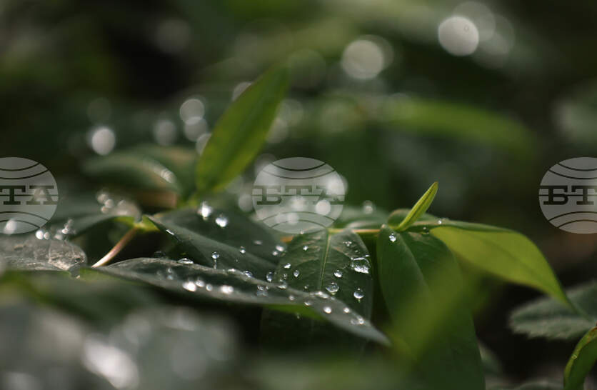 �������� �� ������� �� 11 ����� (������) � ���������� ���