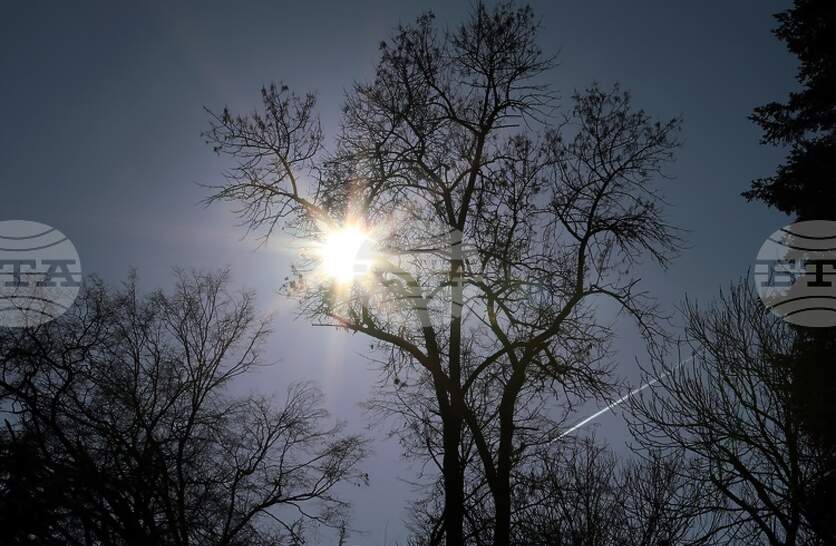 �������� �� ������� �� 12 ����� (������) � ���������� ���