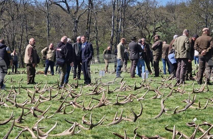 ������ �� 16 �����-��������� ������ �� ������� � ���� �������� ���� ����������� �� ��������� �� ������� ���� � ��� ������ - ��� �����