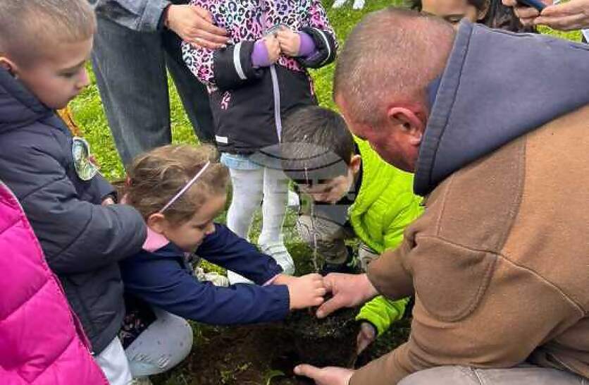 � ����� �� ����������� � �������� ������ � ������� ����������� �� ��� ������� �������� �������� �� ����������