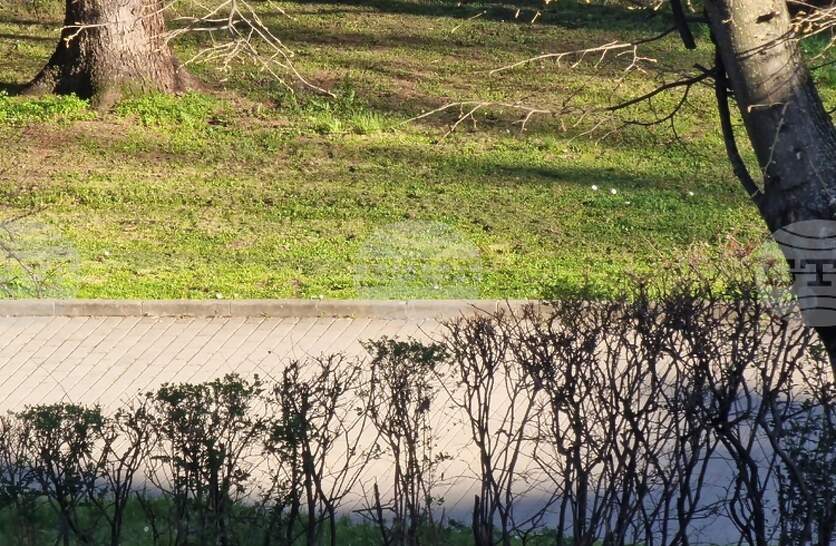 �������� ��������� ����� ����� � ������� ��� ������ �������