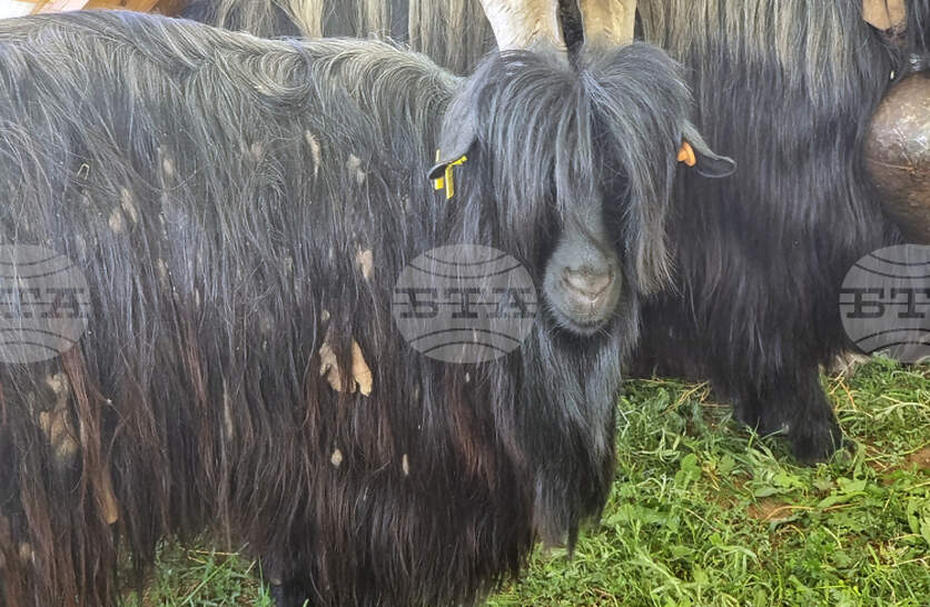 ������� �� �������� ������, ����� ������������ � ��������� ���������� �� ���������� �� ����������� ����� �� ���������� � ��������